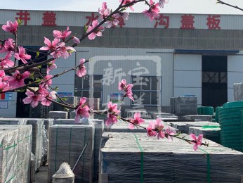 花滿枝頭，春意盎然